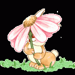 pascua