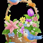 pascua