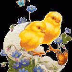 pascua