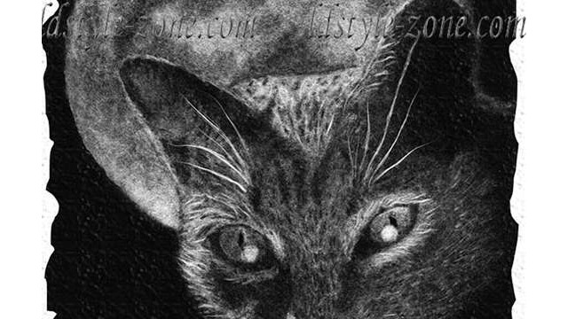 Lyubov-Silchenkova-gato