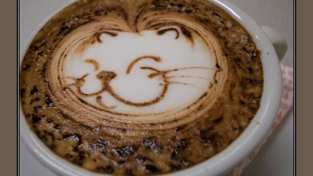 Arte del café con leche: cara gato dibujada en la espuma Arte del café con leche: cara gato dibujada en la espuma