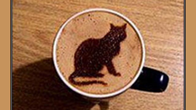 Arte del café con leche: gato negro dibujado en la espuma Arte del café con leche: gato negro dibujado en la espuma
