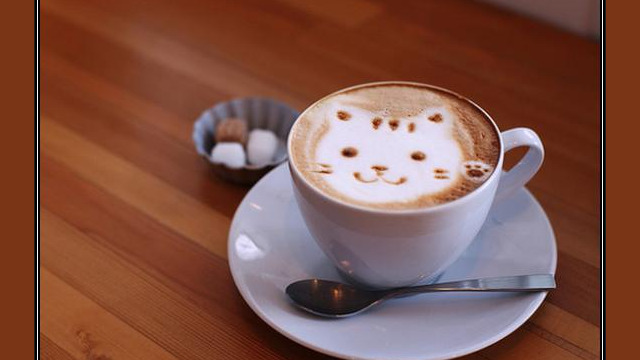 Arte del café con leche: gato Arte del café con leche: gato